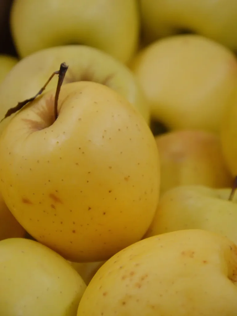 Die Gelbe Sächsische Renette - Der perfekte Mostapfel