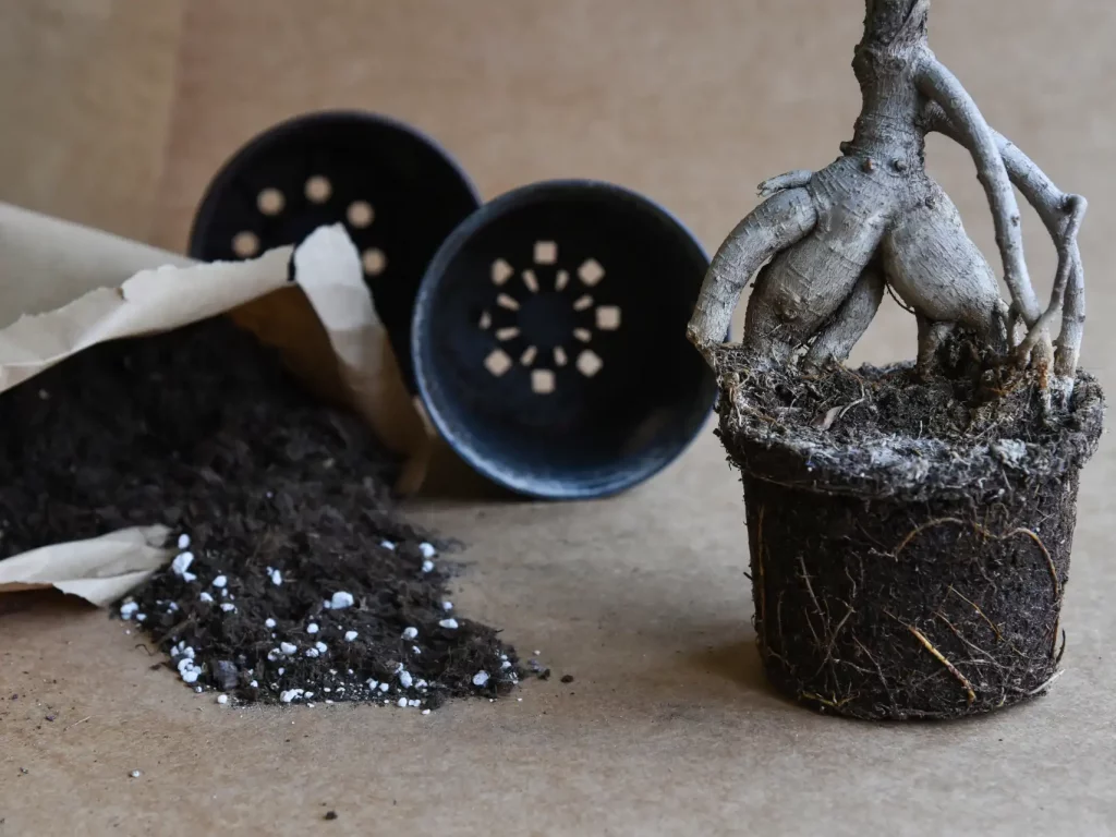 Neue Blumenerde im Sack mit leicht schimmliger Erde